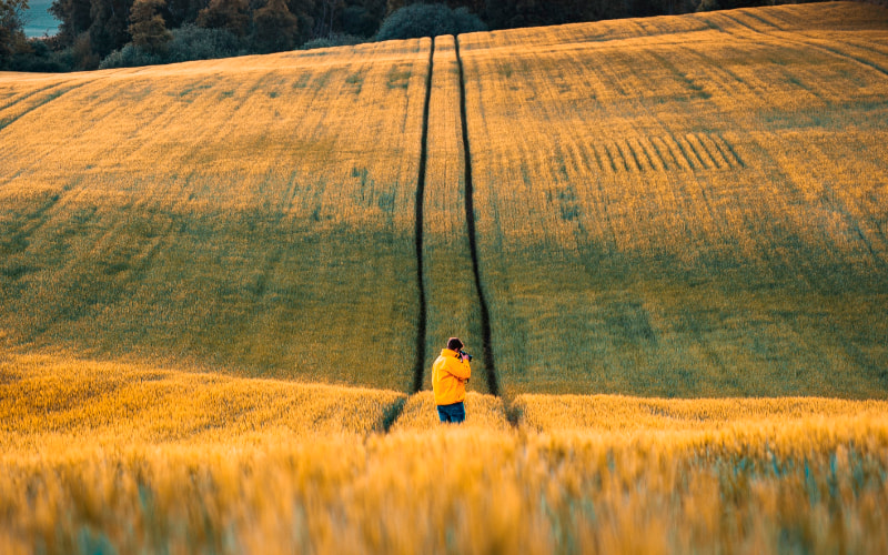 Person standing in the middle of a field